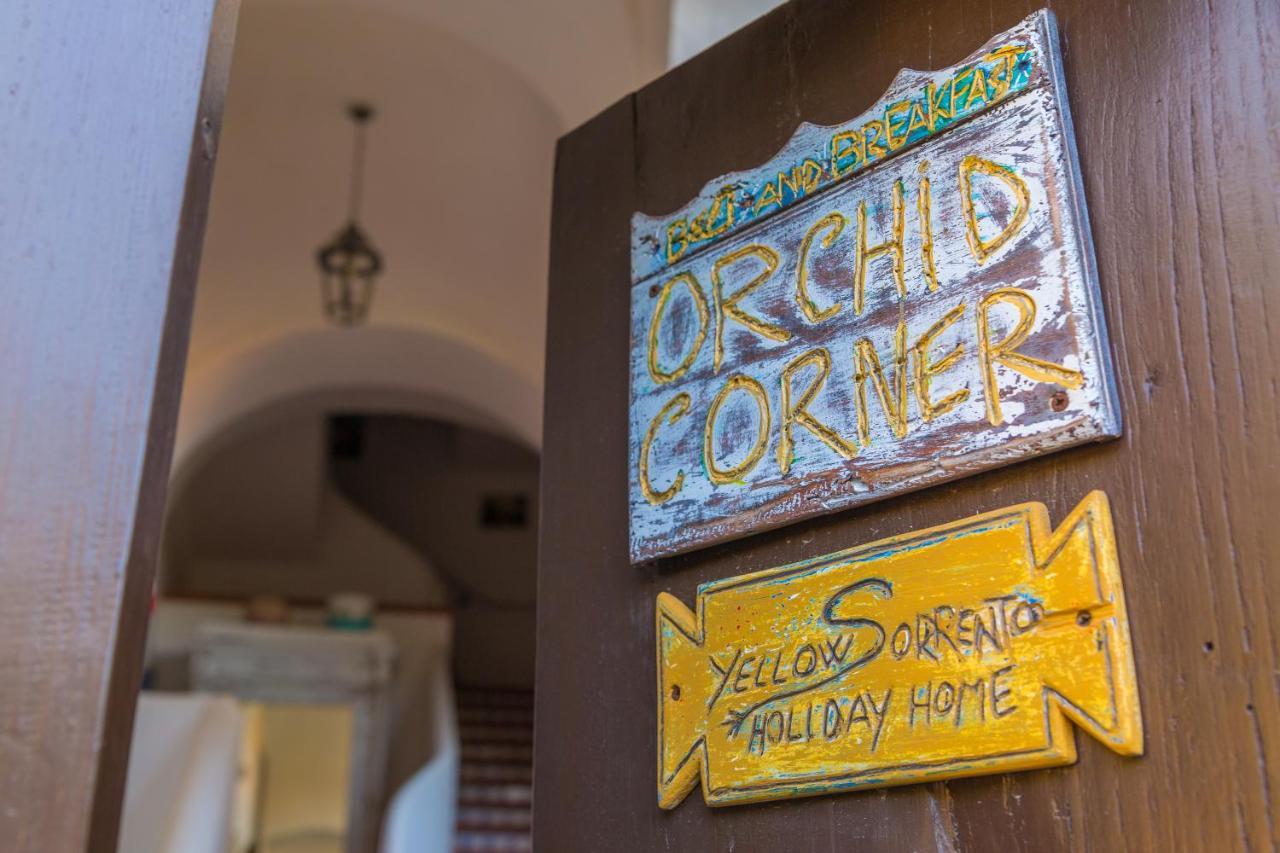 Orchid Corner B&B Meta Exterior foto